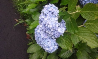(untitled)