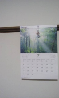(untitled)
