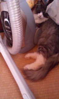 (untitled)