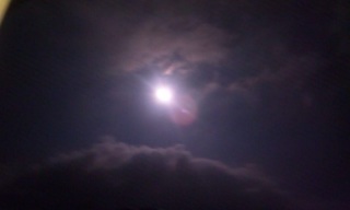 (untitled)