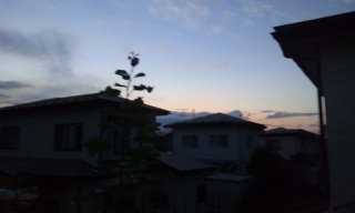 (untitled)