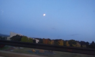 (untitled)