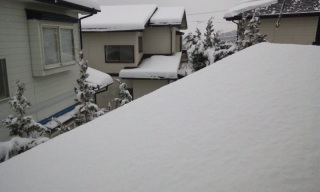 (untitled)