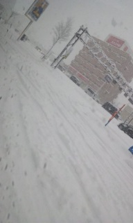 (untitled)