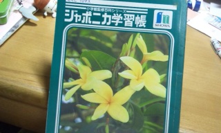 (untitled)