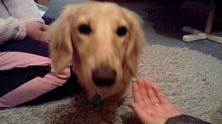(untitled)