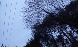 (untitled)