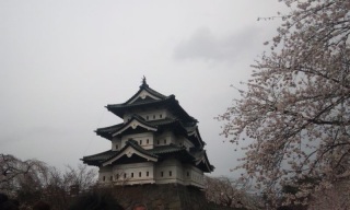 (untitled)