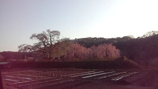 (untitled)