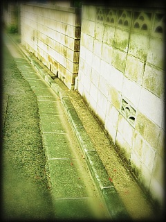 (untitled)