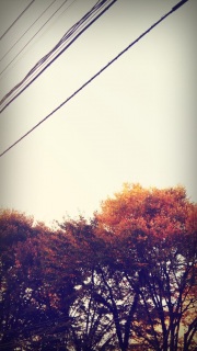 (untitled)