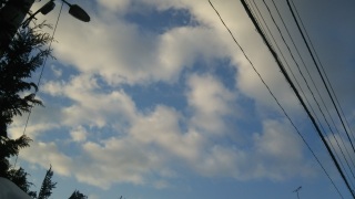 (untitled)