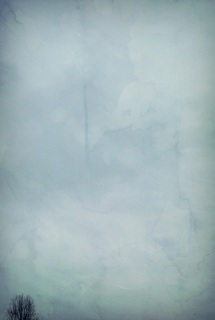 (untitled)