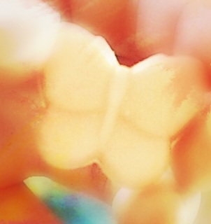 (untitled)