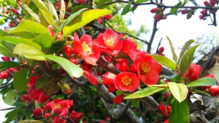 (untitled)
