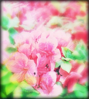 (untitled)