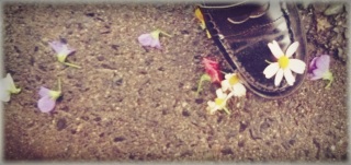(untitled)