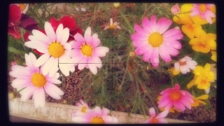 (untitled)